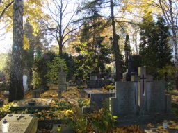 Kwesta na cmentarzu (31.10 – 1.11 2015)
